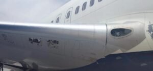 Delta Air Lines 737 wing